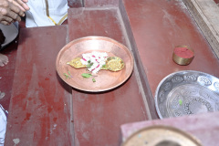 DSC1420
