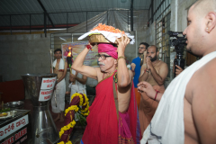 PAI09359