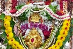 6eef8e79-2934-46ec-9fa5-9e9e15d235d7