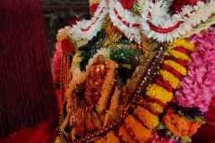 95ba9451-1bbb-4121-af24-b9cf9e225ad5