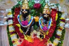 a602f3d3-bdc8-49cc-9104-69279fd52ff0