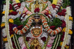 f1db8cef-9835-4349-8b8c-d6f2eb56cfe5