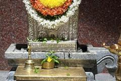 WhatsApp-Image-2025-08-03-at-13.06.11