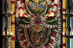 WhatsApp-Image-2023-12-20-at-13.28.00