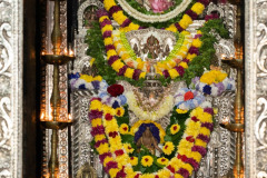 WhatsApp-Image-2023-08-25-at-18.15.21-5